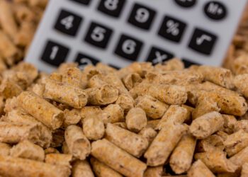 Pellets aktuell günstigster Komfortbrennstoff