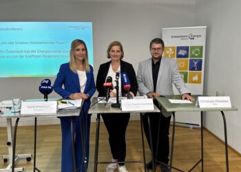 (v.l.) Vera Immitzer, PV Austria, Martina Prechtl-Grundnig, EEÖ, Christoph Pfemeter, Biomasse-Verband
