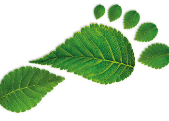 Wie wirtschaftlich ist „Nachhaltigkeit“?