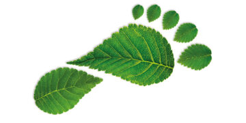 Wie wirtschaftlich ist „Nachhaltigkeit“?