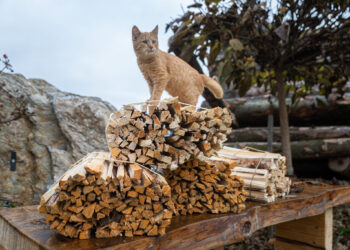Verkaufszahlen von Holzheizungen verdoppelt
