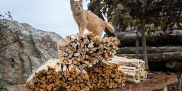 Verkaufszahlen von Holzheizungen verdoppelt