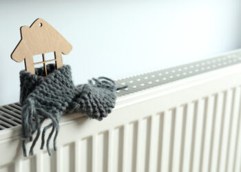 Pelletheizung oder Wärmepumpe: Was wann punktet