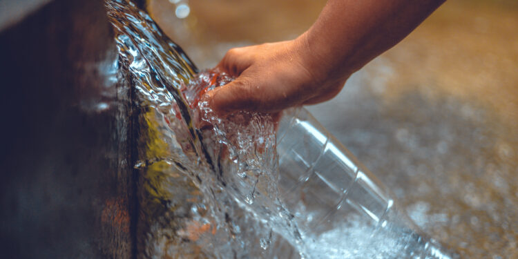 Foto: 123rf/alexandr032
