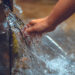 Foto: 123rf/alexandr032
