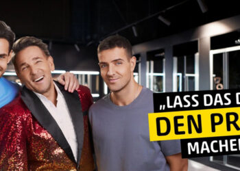 „Lass das doch den Profi machen“