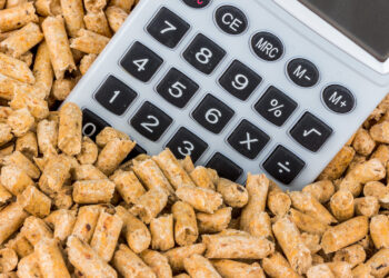 Steiermark ist heimischer Pellet-Champion